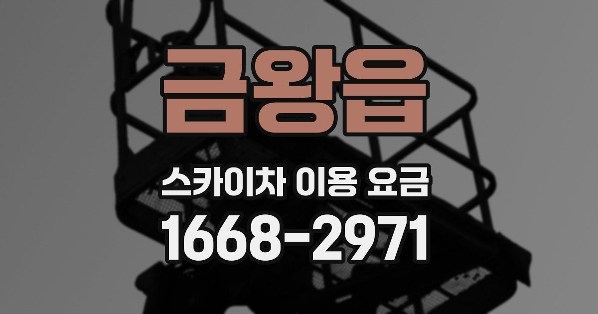 금왕읍 스카이차 이용 요금