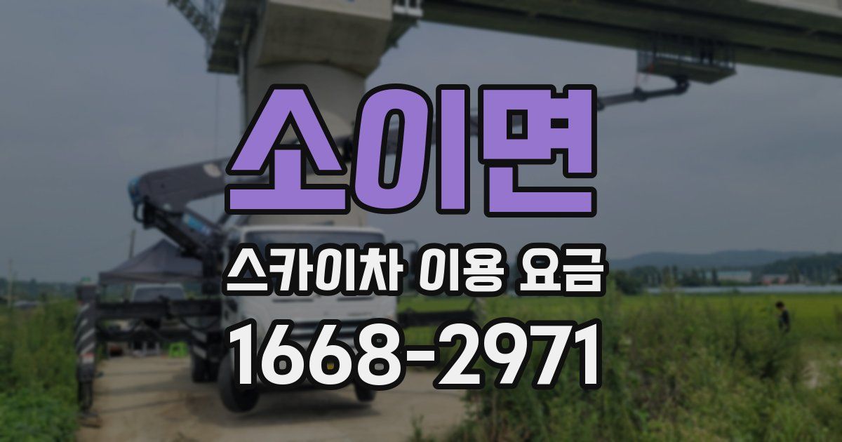 소이면 스카이차 이용 요금