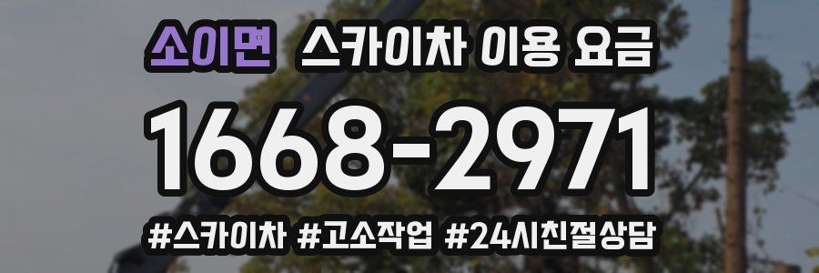 소이면 스카이차 이용 요금