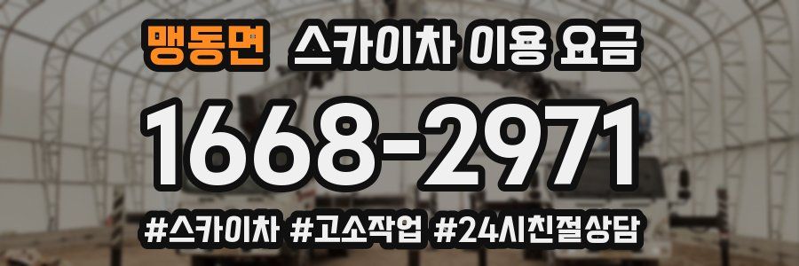 맹동면 스카이차 이용 요금