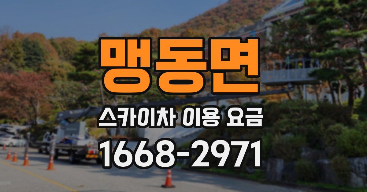 맹동면 스카이차 이용 요금
