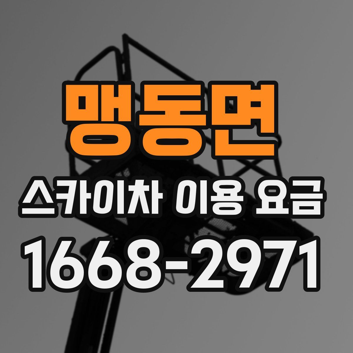 맹동면 스카이차 이용 요금