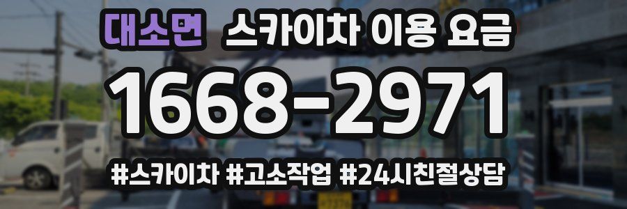 대소면 스카이차 이용 요금