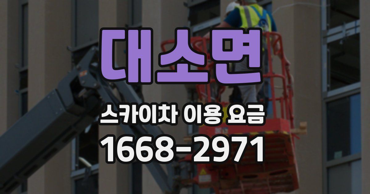 대소면 스카이차 이용 요금