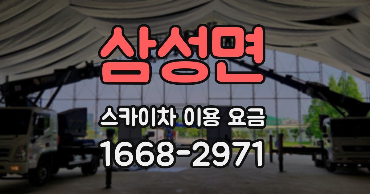 삼성면 스카이차 이용 요금