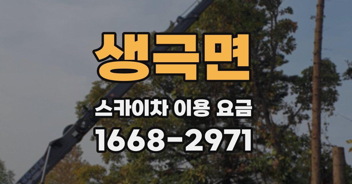 생극면 스카이차 이용 요금