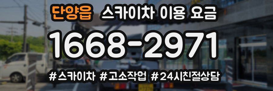 단양읍 스카이차 이용 요금