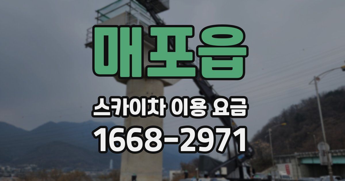 매포읍 스카이차 이용 요금