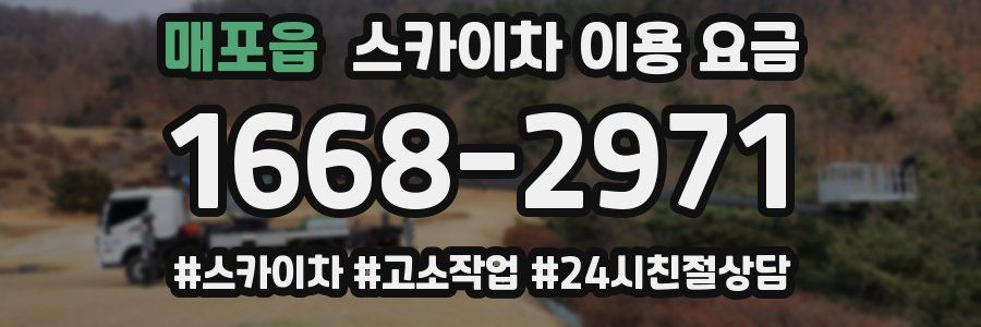 매포읍 스카이차 이용 요금