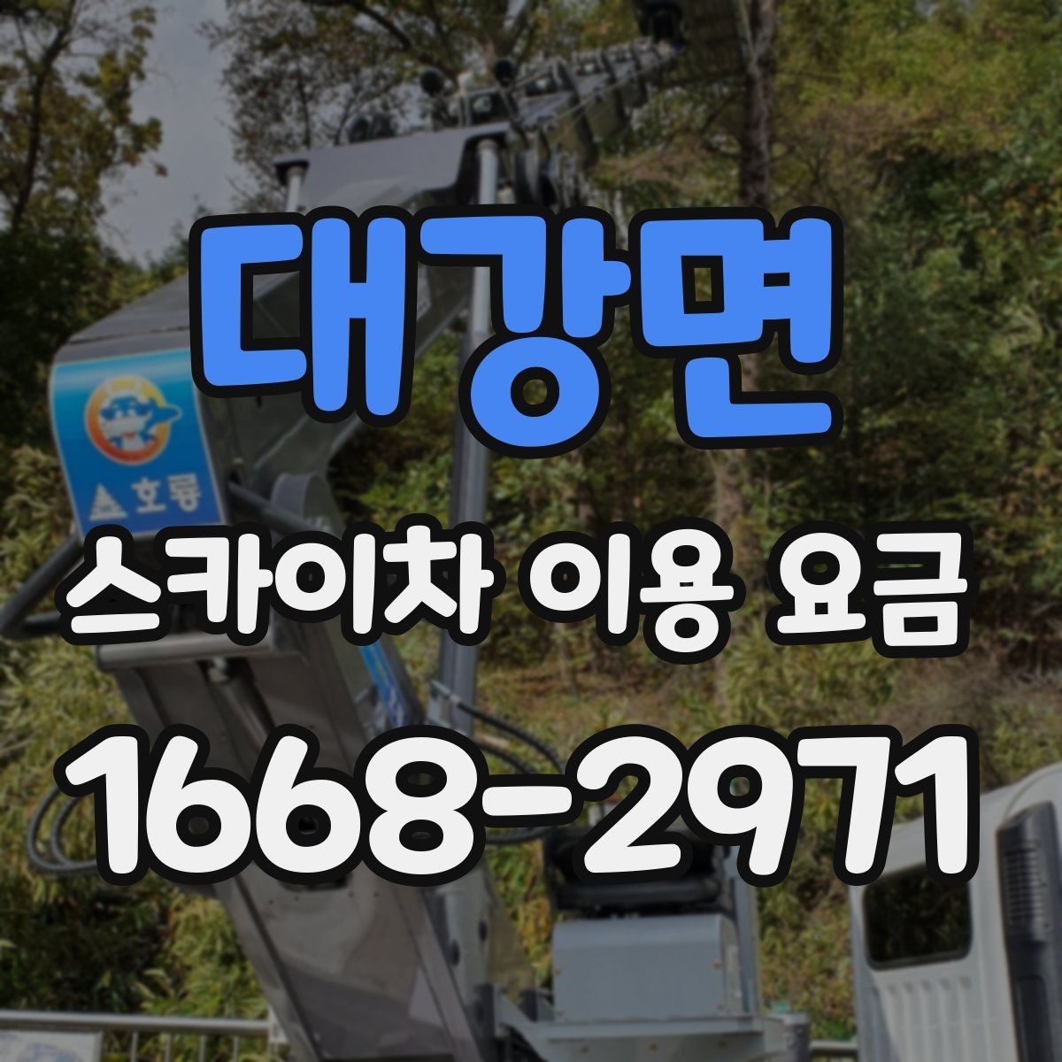 대강면 스카이차 이용 요금 비교 시 놓치기 쉬운 부분