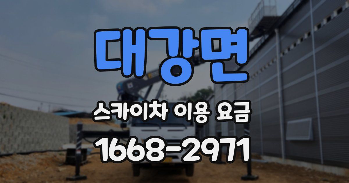 대강면 스카이차 이용 요금