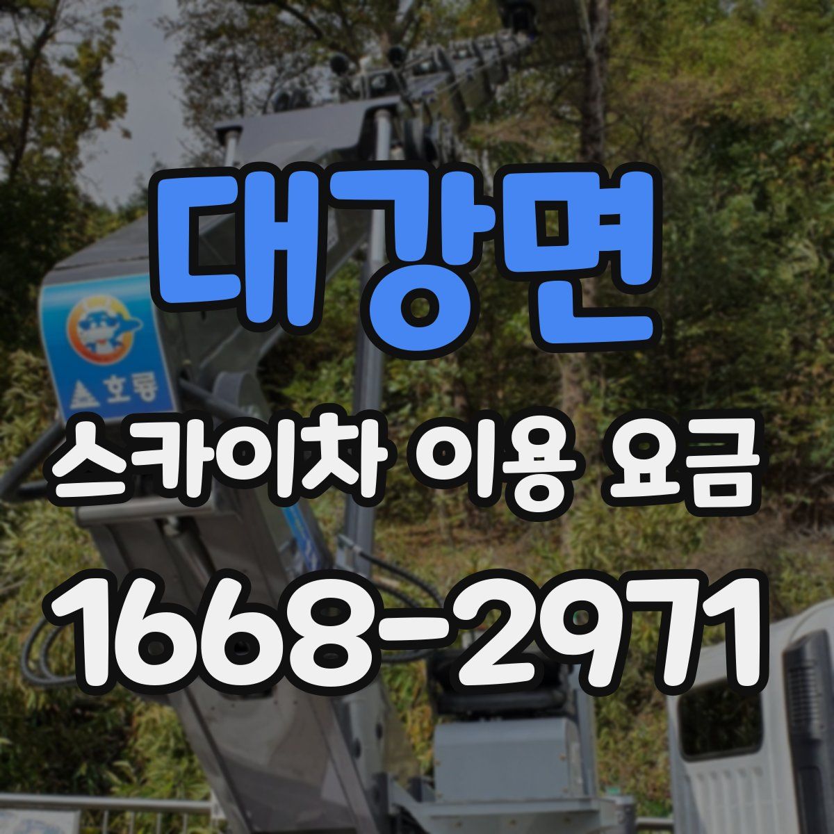 대강면 스카이차 이용 요금