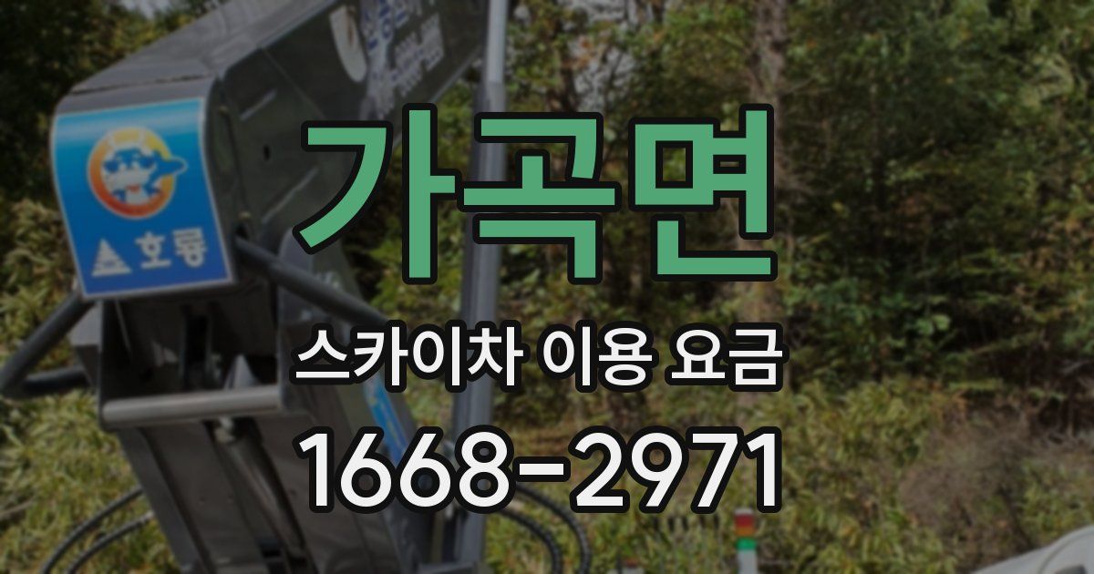 가곡면 스카이차 이용 요금