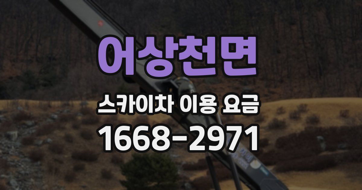 어상천면 스카이차 이용 요금