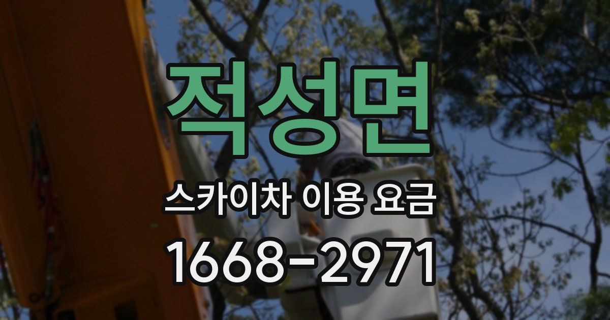적성면 스카이차 이용 요금
