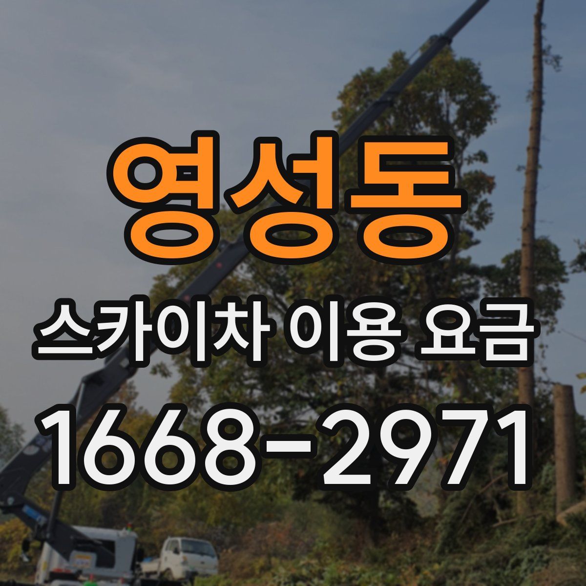 영성동 스카이차 이용 요금