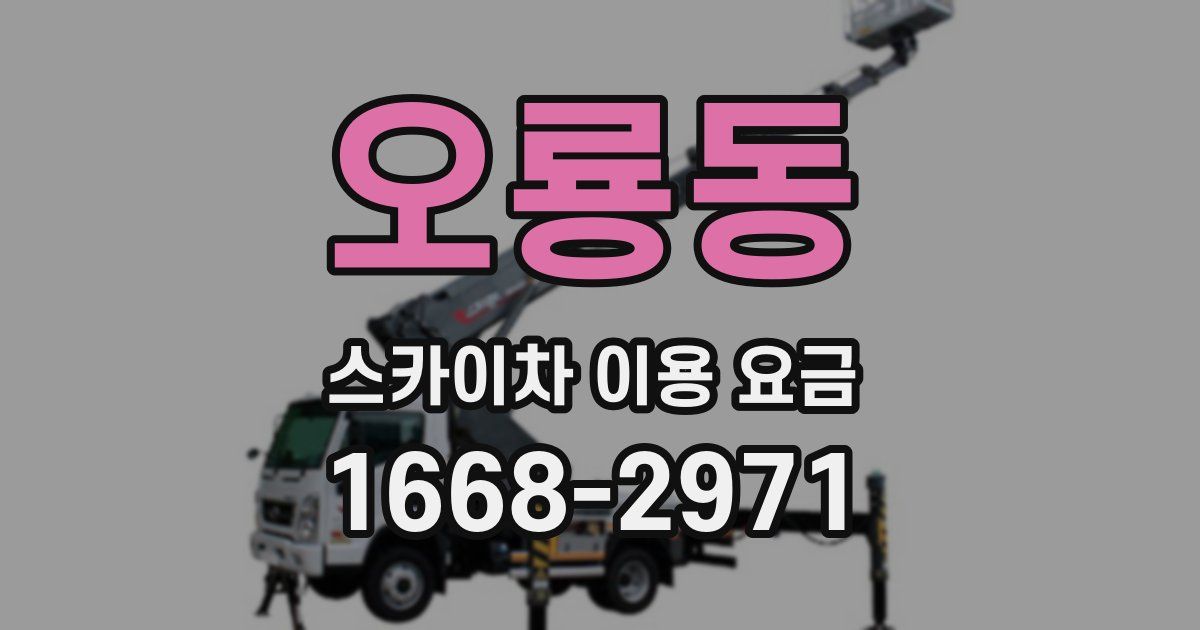 오룡동 스카이차 이용 요금