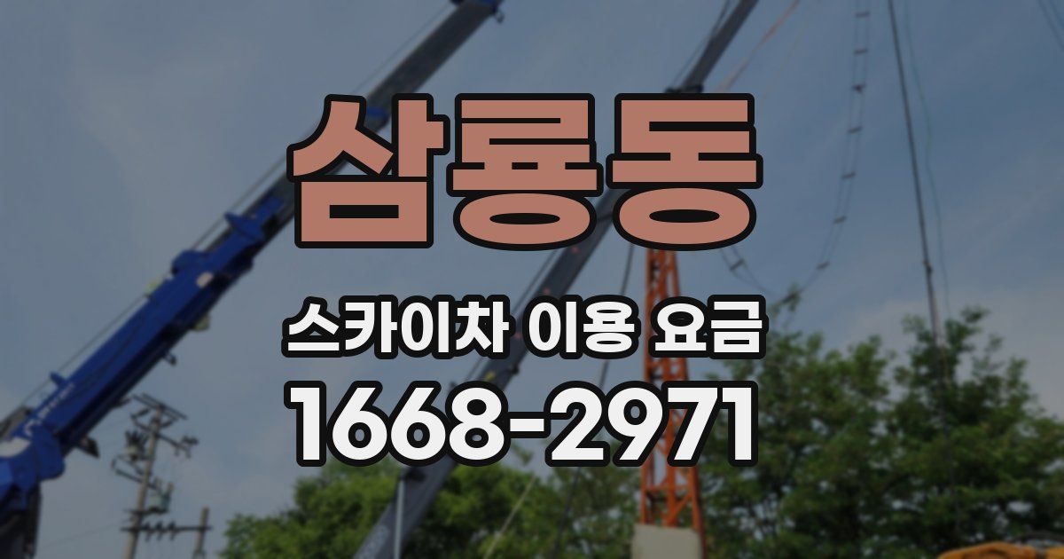 삼룡동 스카이차 이용 요금