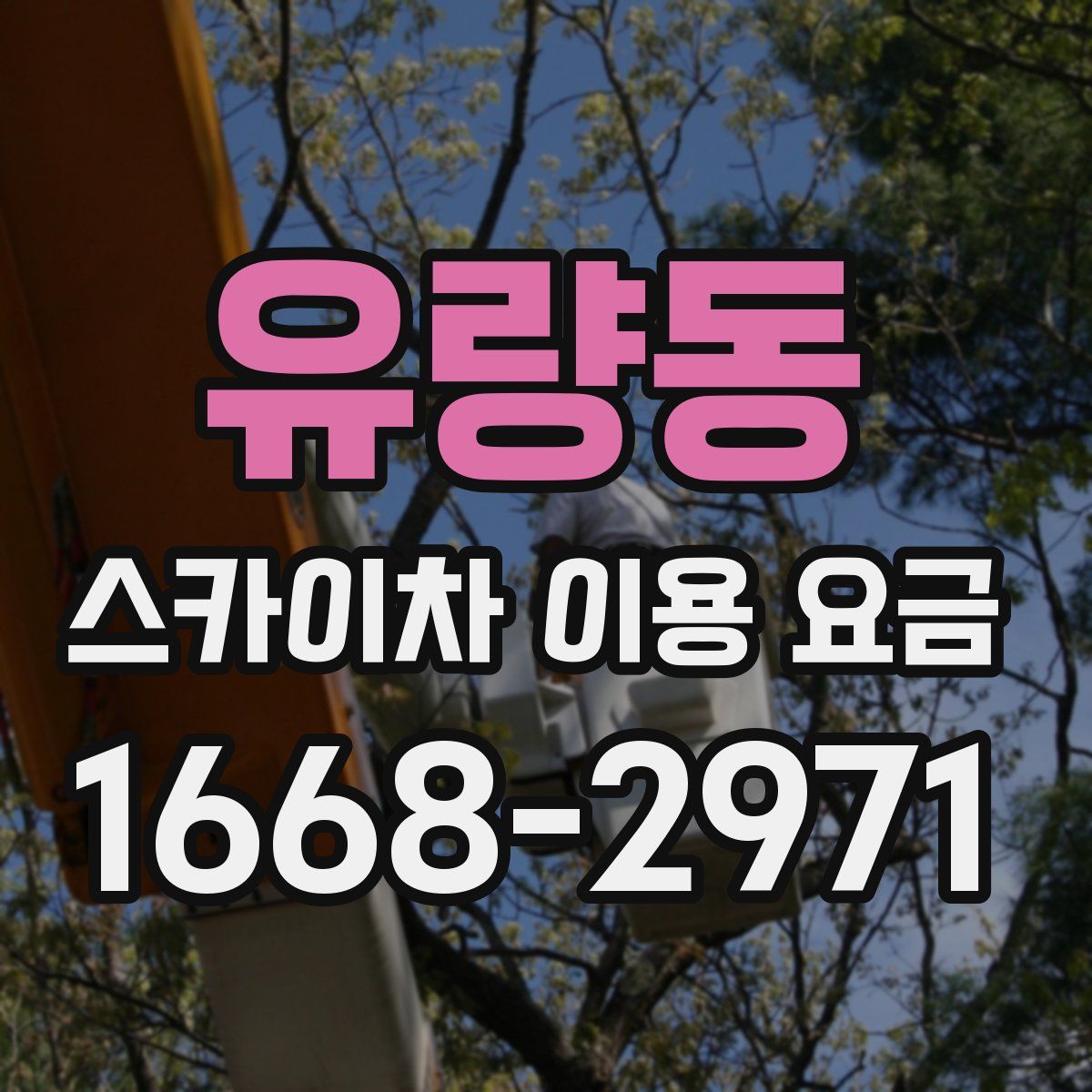 유량동 스카이차 이용 요금