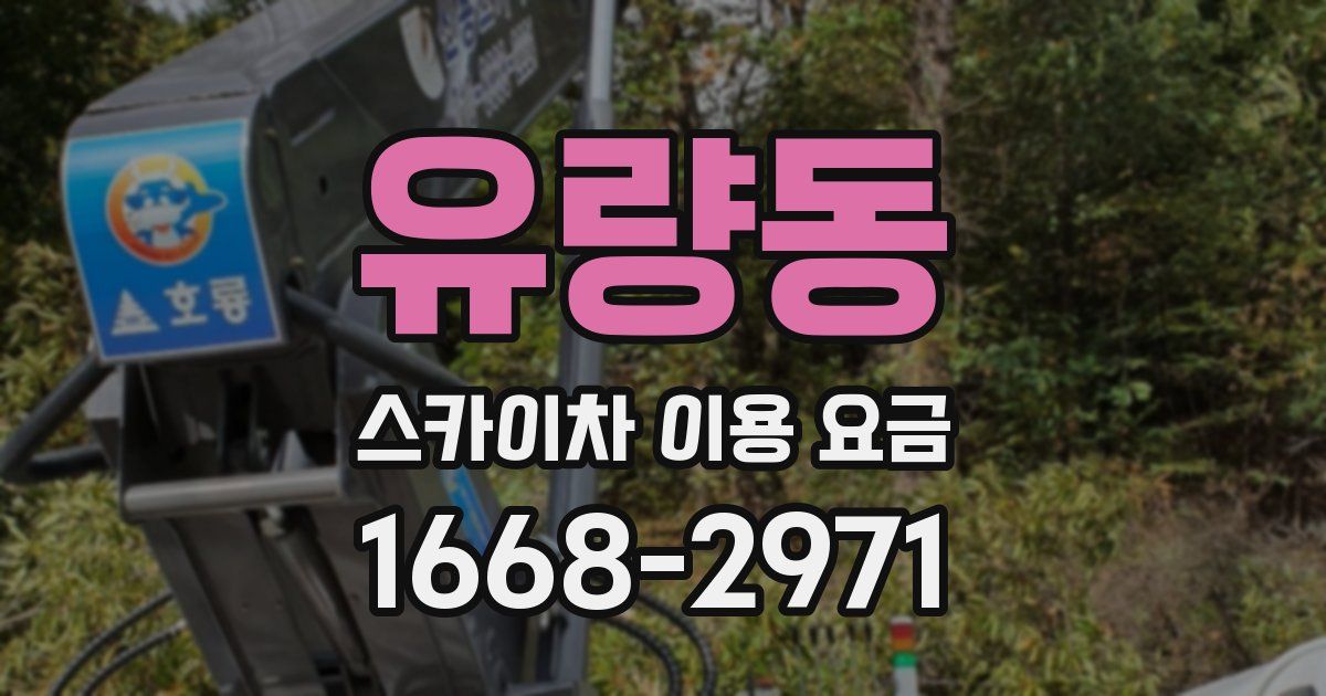 유량동 스카이차 이용 요금