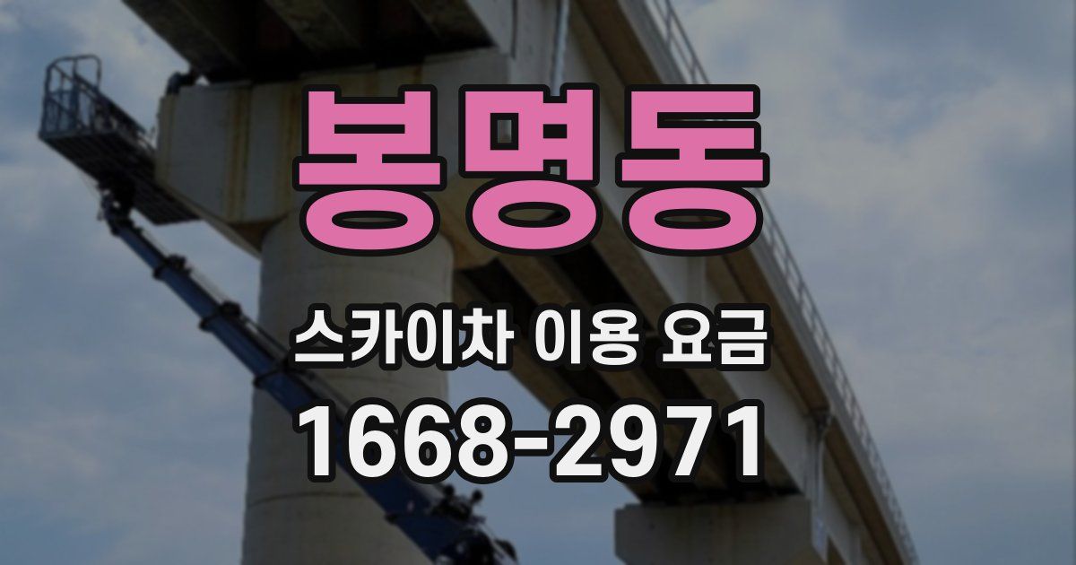 봉명동 스카이차 이용 요금