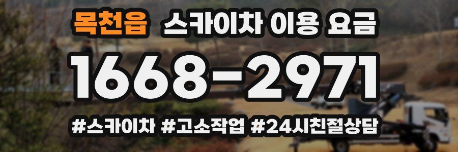 목천읍 스카이차 이용 요금