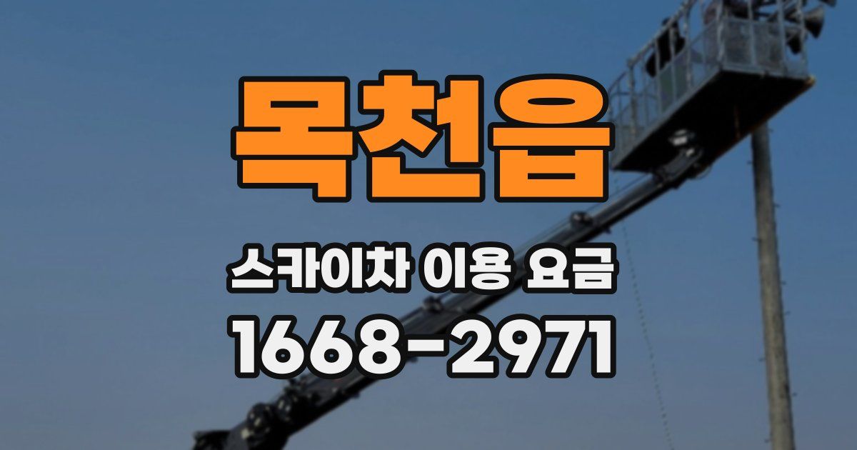 목천읍 스카이차 이용 요금