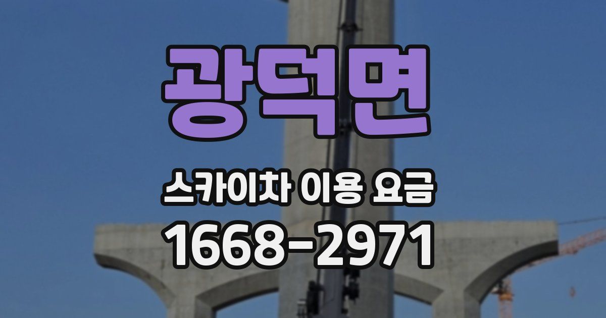 광덕면 스카이차 이용 요금