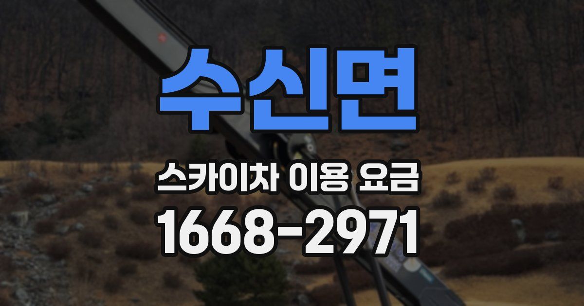 수신면 스카이차 이용 요금