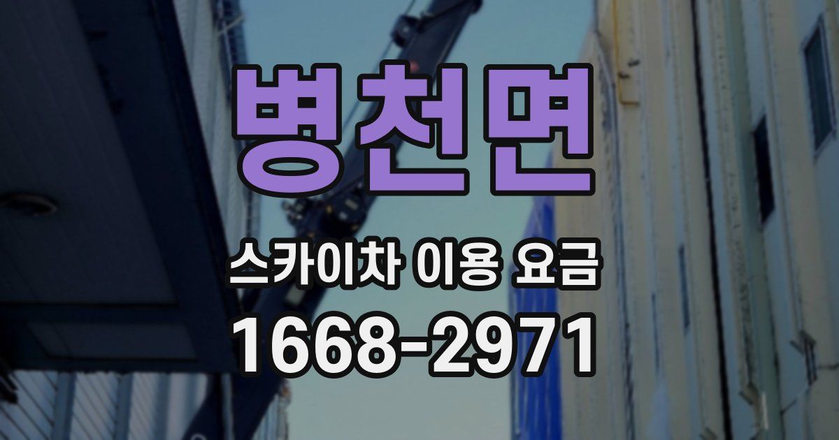 병천면 스카이차 이용 요금