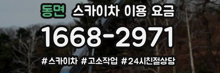 동면 스카이차 이용 요금