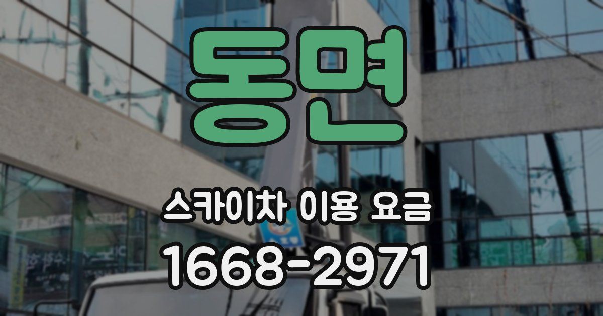 동면 스카이차 이용 요금