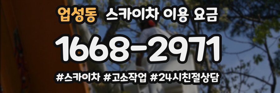 업성동 스카이차 이용 요금