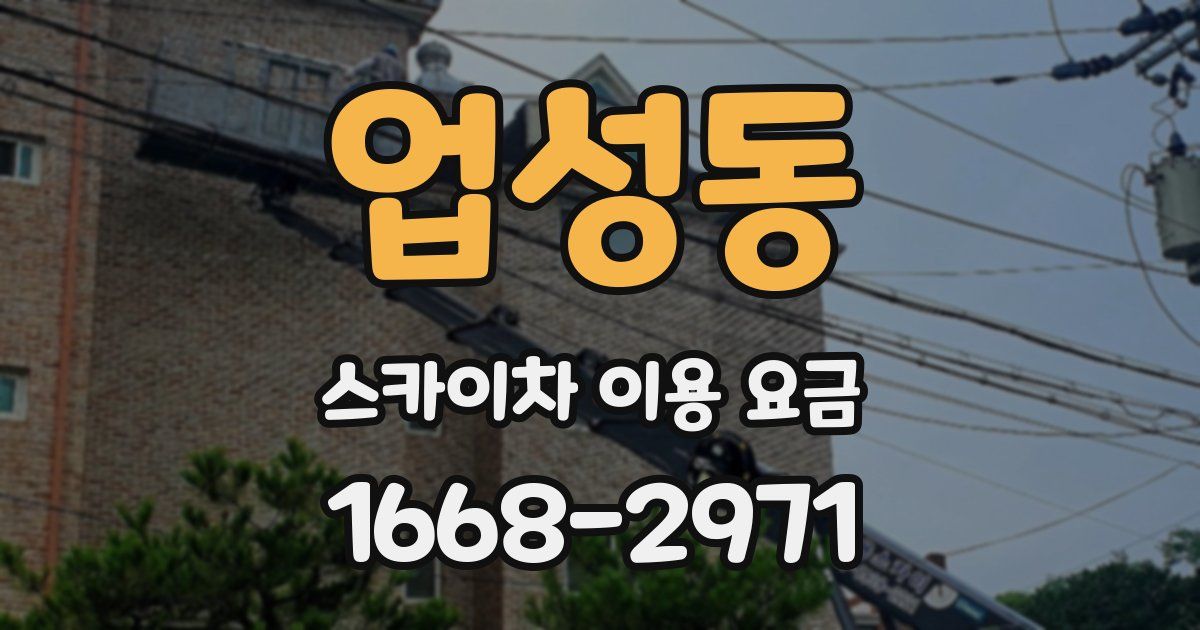 업성동 스카이차 이용 요금
