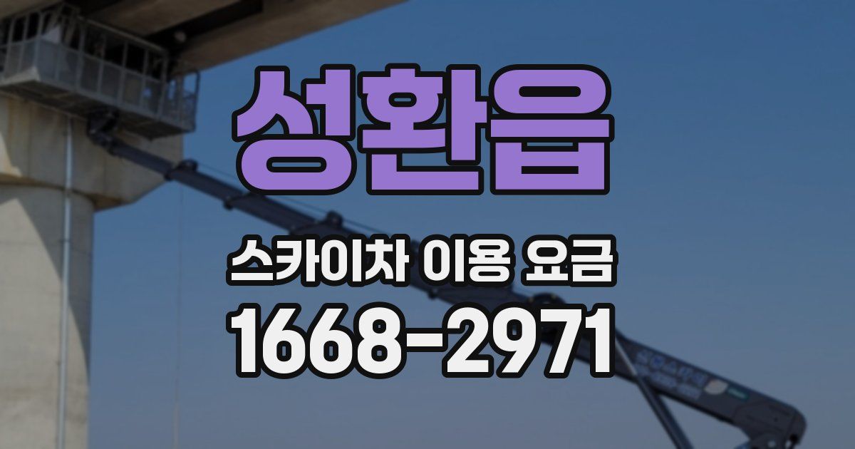 성환읍 스카이차 이용 요금