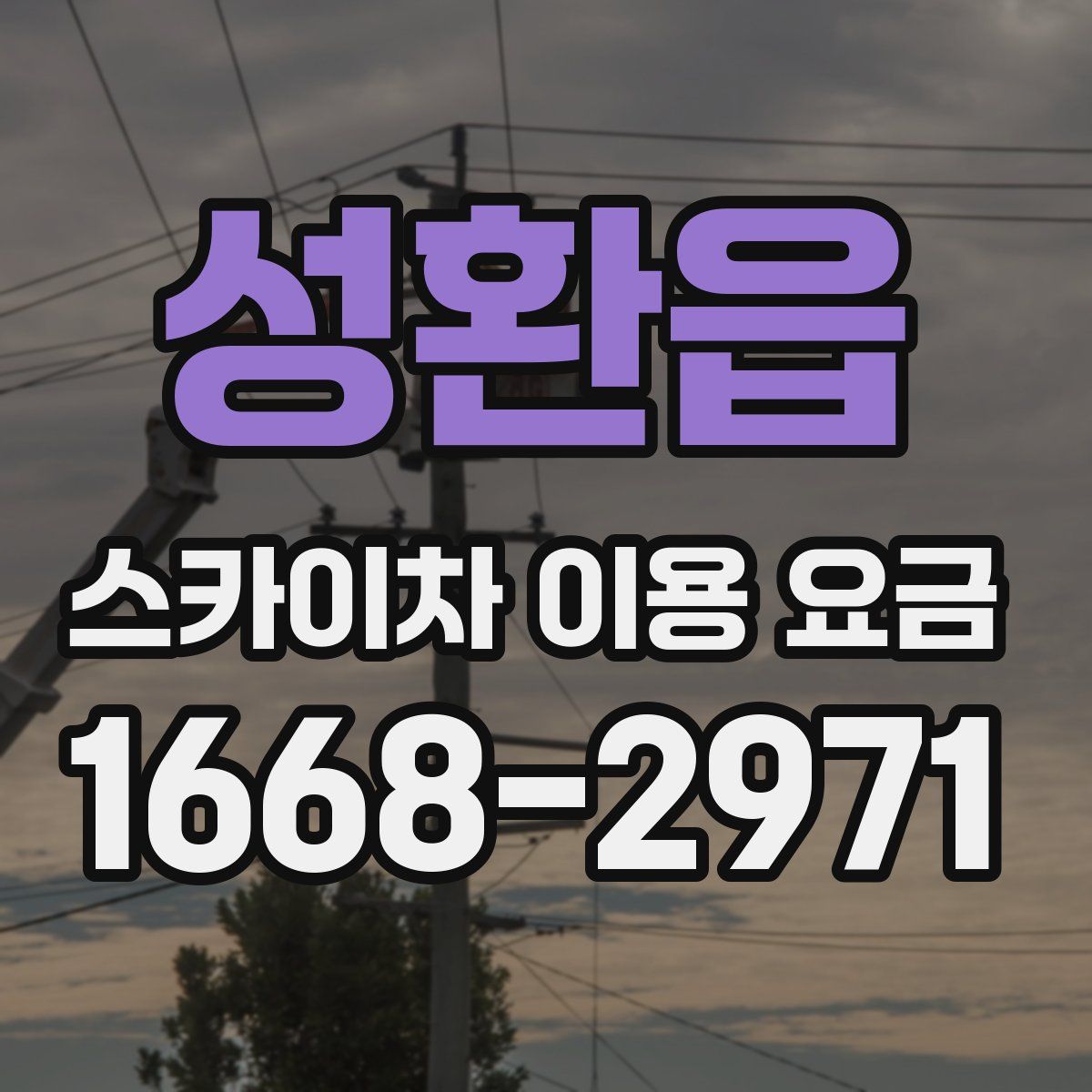 성환읍 스카이차 이용 요금