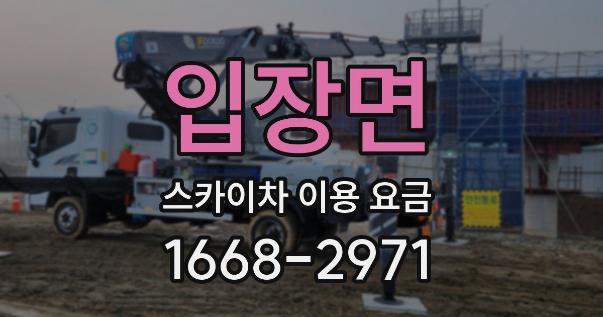 입장면 스카이차 이용 요금