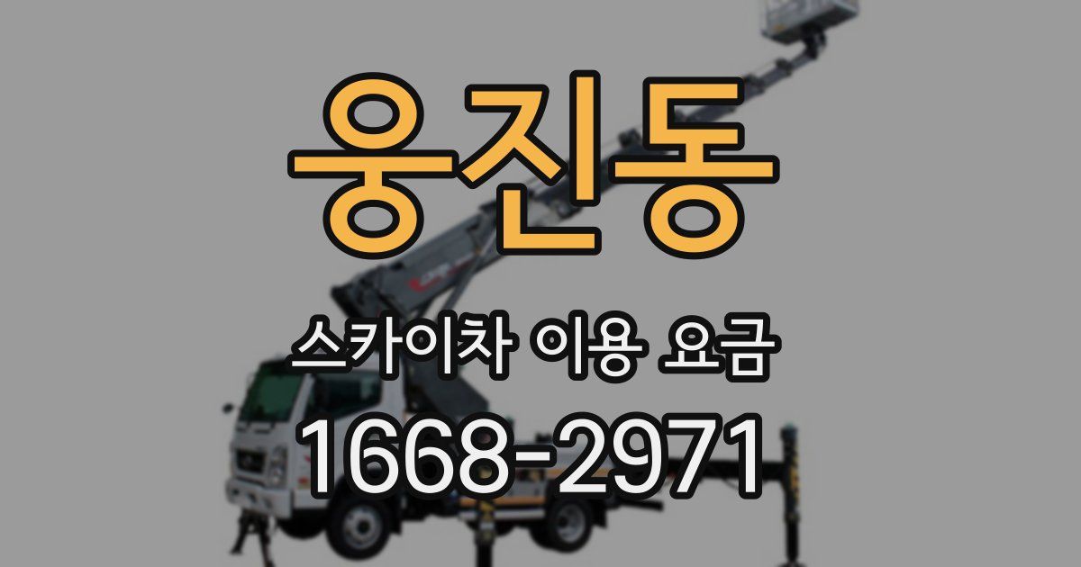 웅진동 스카이차 이용 요금