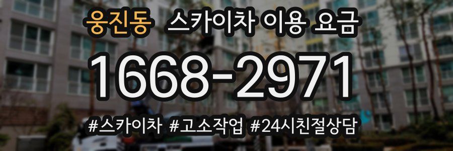 웅진동 스카이차 이용 요금
