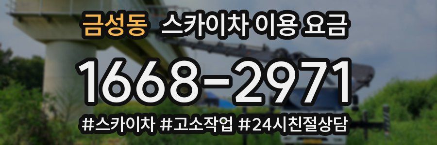 금성동 스카이차 이용 요금