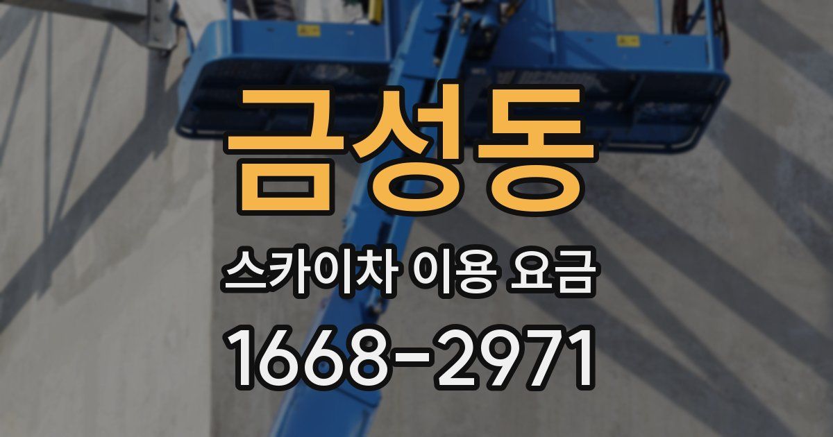 금성동 스카이차 이용 요금