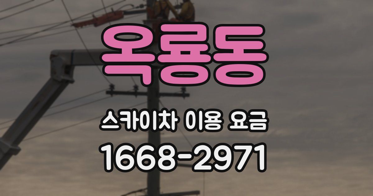 옥룡동 스카이차 이용 요금
