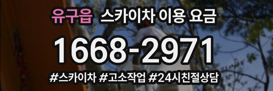 유구읍 스카이차 이용 요금