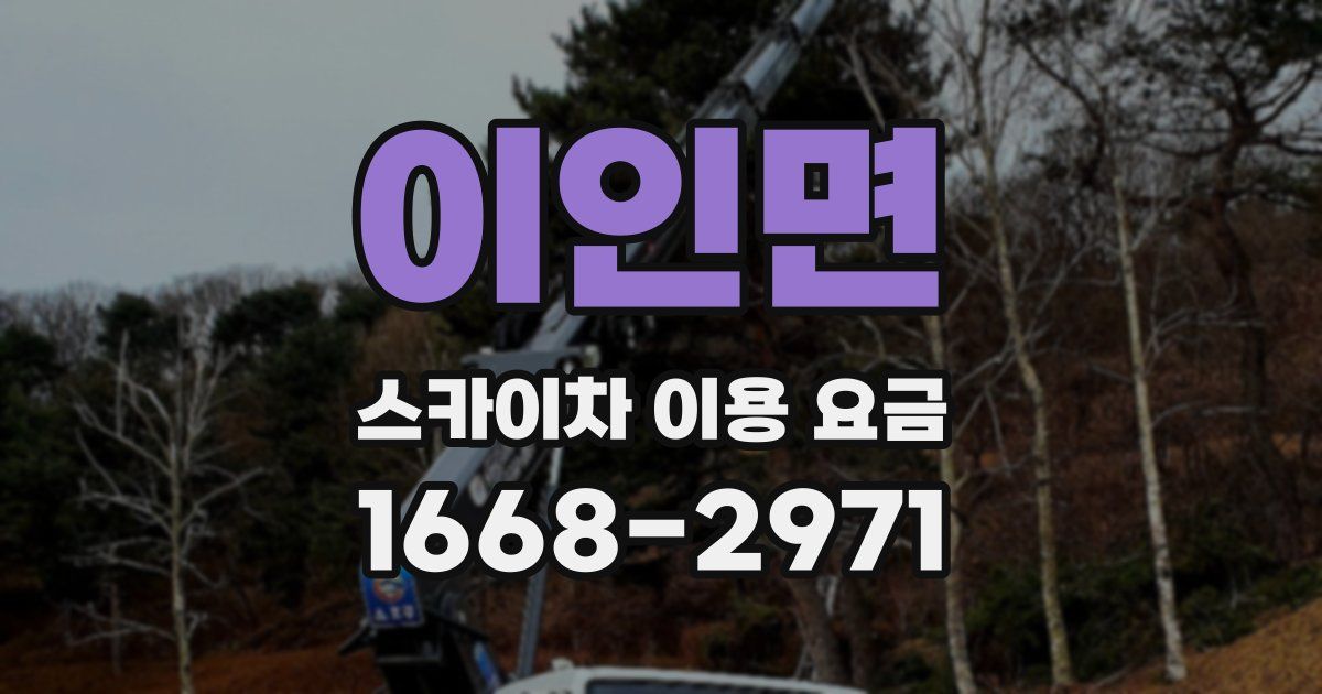 이인면 스카이차 이용 요금
