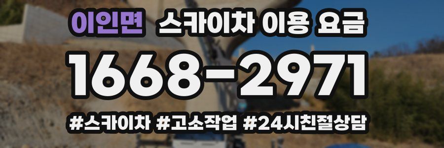 이인면 스카이차 이용 요금