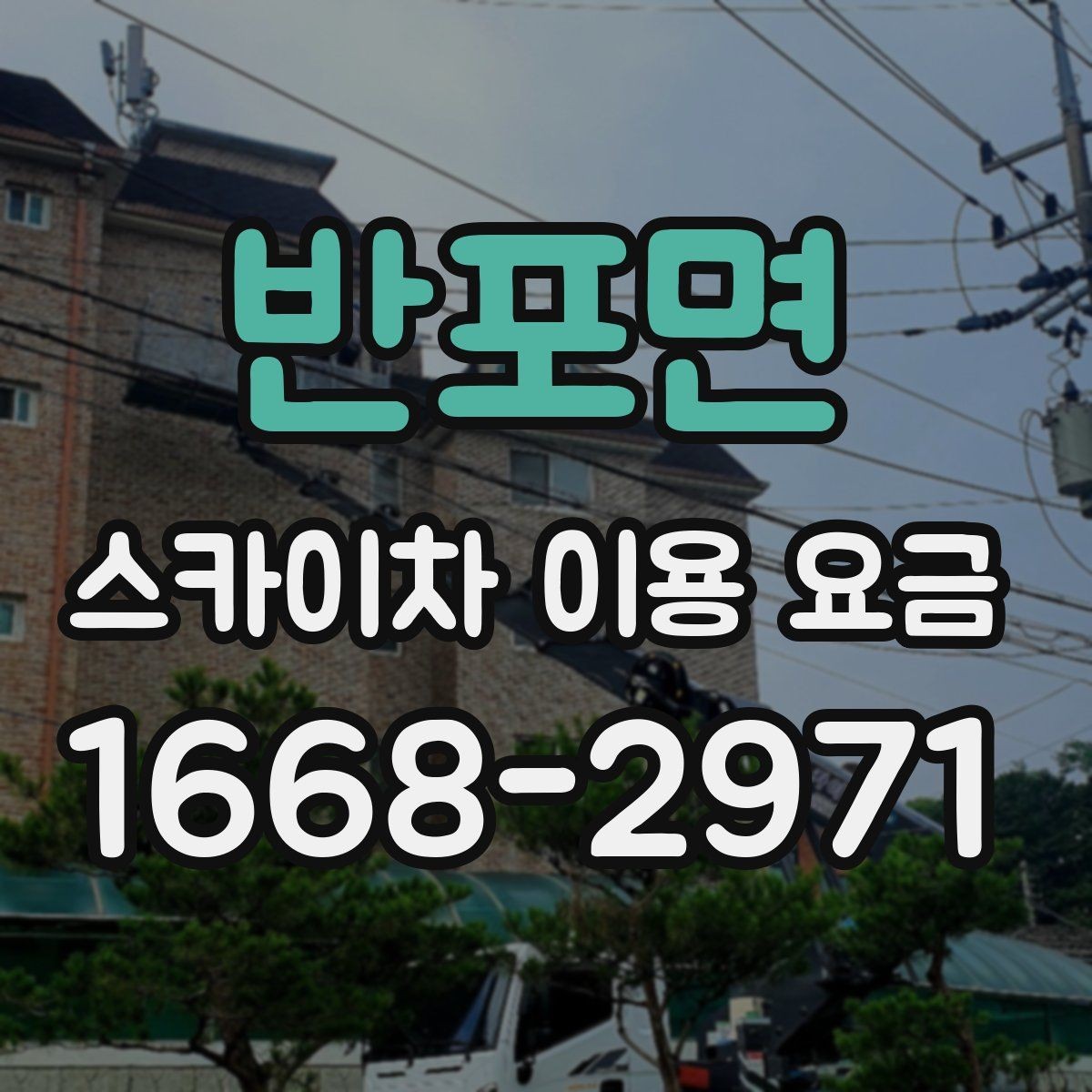 반포면 스카이차 이용 요금 확인 전 알아둘 실용 정보