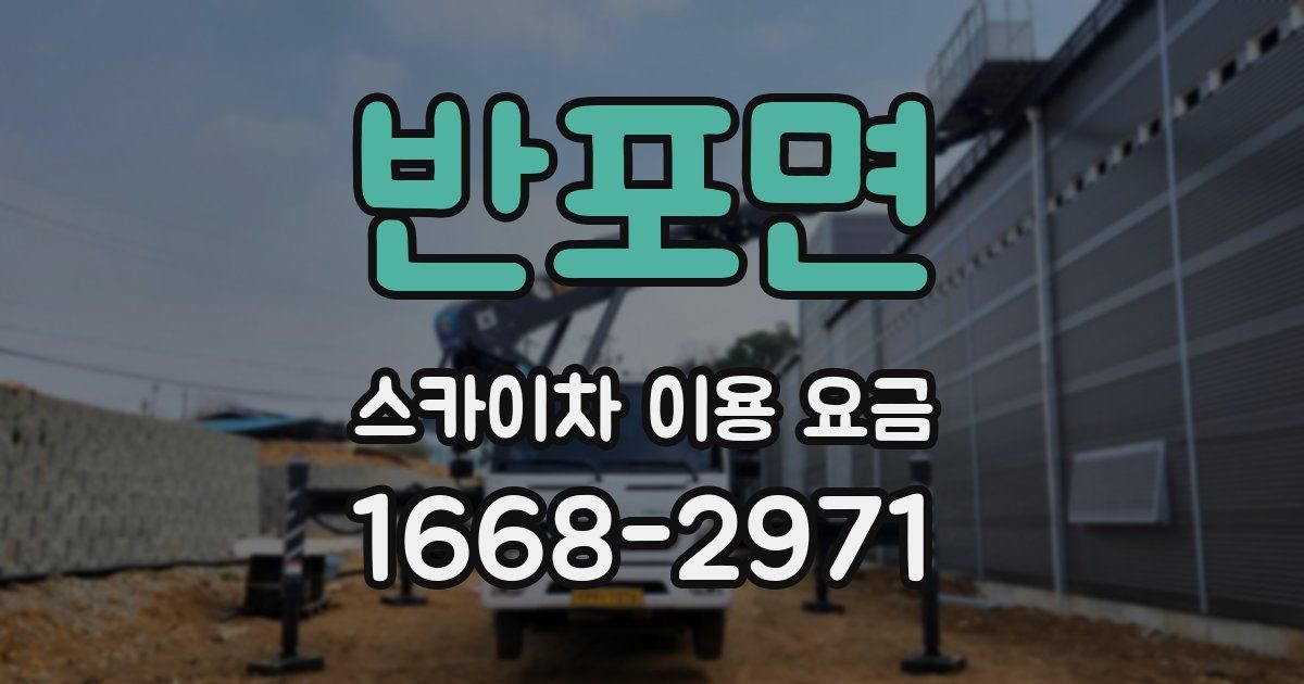 반포면 스카이차 이용 요금