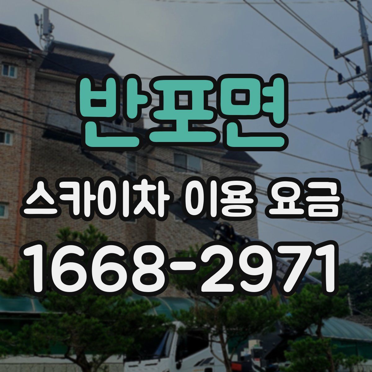 반포면 스카이차 이용 요금
