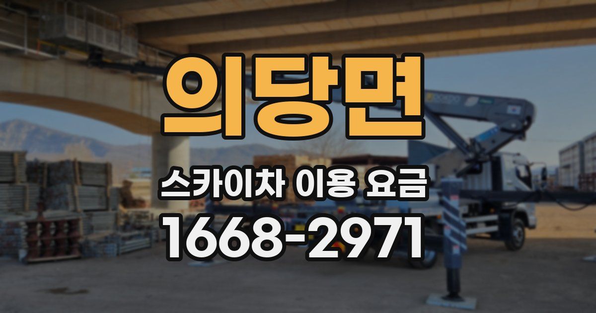 의당면 스카이차 이용 요금