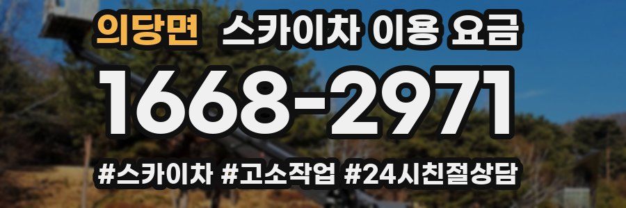 의당면 스카이차 이용 요금